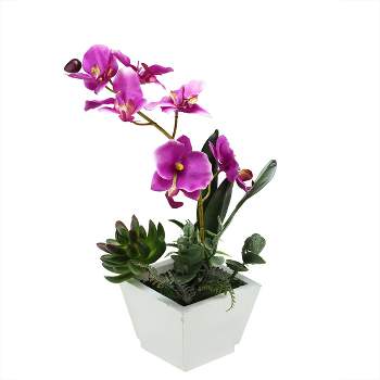 Northlight 12" Orchid with Succulent Artificial Potted Plant - Pink