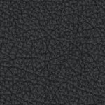 north carolina tar heels