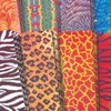 Roylco® Amazing Animal Paper™, 8.5" x 11", 40 Sheets Per Pack, 3 Packs - 3 of 4