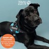 Joyride Harness Premium Advanced No Pull Dog Harness 2.0 Teal Ocean - 2 of 4