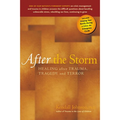 After the Storm - by  Kendall Johnson (Paperback)