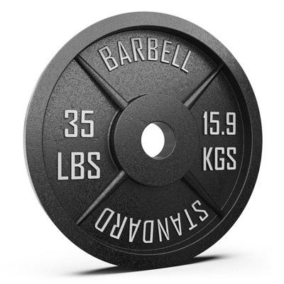 Synergee Standard Metal Weight Plates - 35lb Single : Target