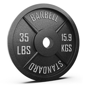 Synergee Standard Metal Weight Plates - 1 of 4