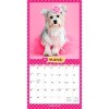 BrownTrout Puppies in Pink 2026 12"x24" Hanging Square Wall Calendar Plastic-Free - 3 of 4
