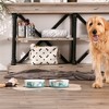 Bone Dry Pet Bowl - Set/2 - 3 of 4