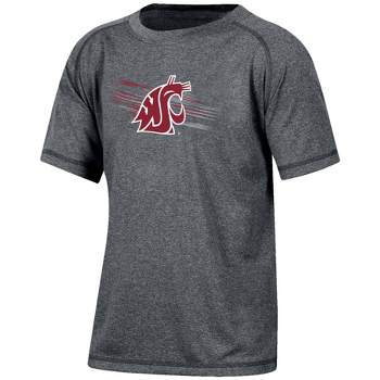 NCAA Washington State Cougars Boys' Gray Poly T-Shirt