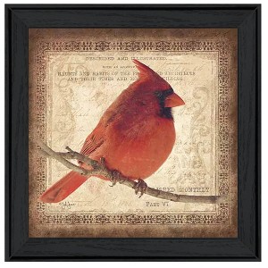 "Male Cardinal" by Artisan John Jones, Ready to Hang Framed Print, Black Frame - 1 of 1