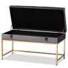 Aliana Velvet Fabric and Metal Large Ottoman Gold - Baxton Studio: Antique Brass Latch, Storage, No Assembly Required - 2 of 4