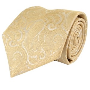 Men's Paisley Microfiber Woven Wedding Neckties - 1 of 4