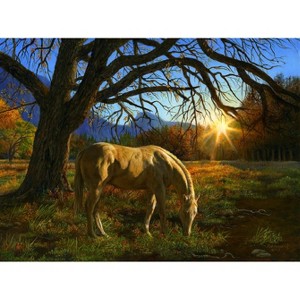 Sunsout Pastoral Sunset 1000 pc   Jigsaw Puzzle 26294 - 1 of 4