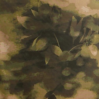 pr504529-digi starfish combo