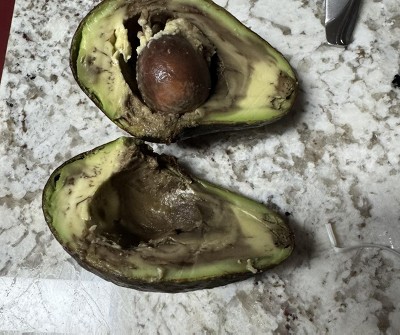 Guest review image 1 of 1, zoom in