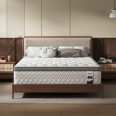 PAGED Hybrid Mattress Twin Mattress with Long-Lasting Spring Support for Pressure Relief, Fiberglass Free