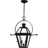 Rue De Royal 2-Light Earth Black Outdoor Hanging Lantern - 4 of 4
