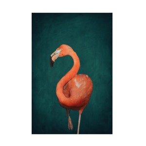 Canvas Wall Art - Aureous   'Green Flamingo' Wall Art for Living Room, Bedroom, or Office Décor by Trademark Fine Art - 1 of 4