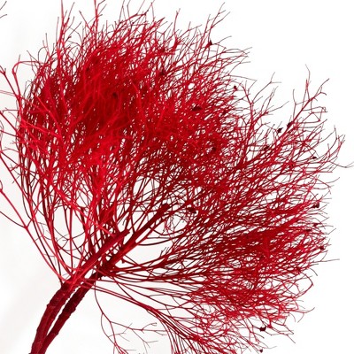 Alilang Decorative Dried Ming Fern Stems for Elegant Home Decoration and Creative Floral Arrangements, 19.5 Inches
