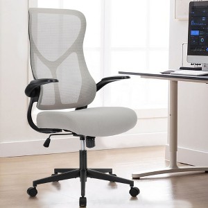 ALEXOUN Mesh Rolling Swivel Task and Office Chairs with Wheels,Flip-up Arms & Adjustable Height Gaming Chairs,Lumbar Support,for Home,Office - 1 of 4