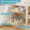 LOVMOR 2 Tier Pull Out Cabinet Organizer 22½" W x 21½" D, Slide Out Drawers with Wooden Handle, Sliding Shelves Organization - 2 of 4