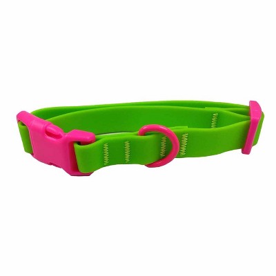 dog collar buckle vs clip