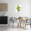 Stupell Industries Lemon Citrus Fruit Tree Framed Giclee Art - 3 of 4
