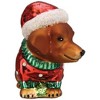 Old World Christmas Blown Glass Ornament for Christmas Tree, Dashing Dachshund Puppy - 3 of 4