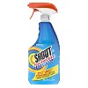 Shout Advanced Action Gel Laundry Stain Remover Spray - 22 fl oz - 4 of 4