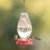 Perky-Pet Plastic Nectar Hummingbird Feeder - Clear (33 Oz) - 2 of 3