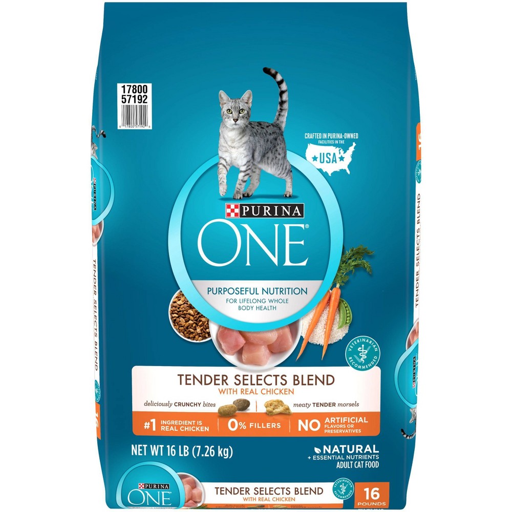 UPC 017800571920 product image for Purina ONE Natural Dry Cat Food, Tender Selects Blend With Real Chicken - 16lb B | upcitemdb.com