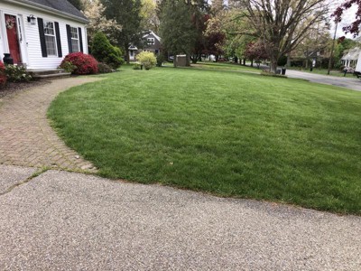 Guest review image 1 of 2, zoom in