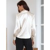 INSPIRE CHIC Women's Satin Striped Long Sleeve Tie V Neck Business Causal Office Shirt - 3 of 4