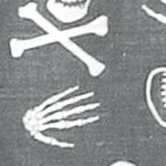 allover bones skull grey