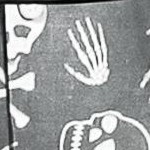 allover bones skull grey