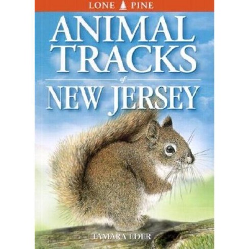 Animal Tracks Of New Jersey - By Tamara Eder & Edwin Arnfield (paperback) :  Target
