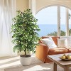 MaseiKar Artificial Ficus Tree 6ft, Realistic Fake Plants with Silk Leaves & Texture Trunk, Faux Tree for Home Office Indoor Outdoor Housewarming Gift - 2 of 4