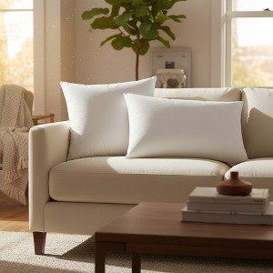 Economical Hotel Pillows with Synthetic Down By Rifz Textiles - 1 of 4