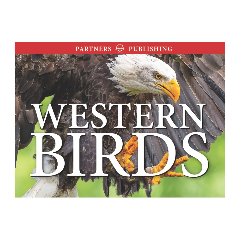 Western Birds - (Pocket Guide) by Krista Kagume & Gregory Kennedy & Andy Bezener (Paperback)