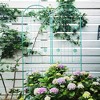 Aghana Digitals 4-Pack 86.7"x19.7" Rustproof Metal Garden Trellis for Climbing Plants - Sturdy - 3 of 4