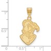 Black Bow Jewelry 14k Yellow Gold Furman Paladins NCAA Large Pendant - 2 of 3