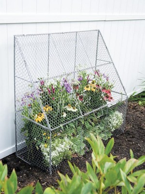 Chicken Wire Mesh Cloche with Base for Plants, Set of Three