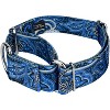 Country Brook Petz 1 1/2 Inch Martingale Dog Collar - Paisley Collection - 4 of 4