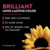 Garnier Olia Oil Powered Ammonia Free Permanent Hair Color - 3 of 4
