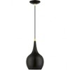 Livex Lighting Andes 1 - Light Pendant in  Shiny Black/Polished Brass - 3 of 3