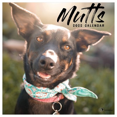 2022 Wall Calendar Mutts - The Time Factory : Target