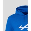 Castore Alpine Racing F1 Core Essential Pullover Hoodie - 3 of 4