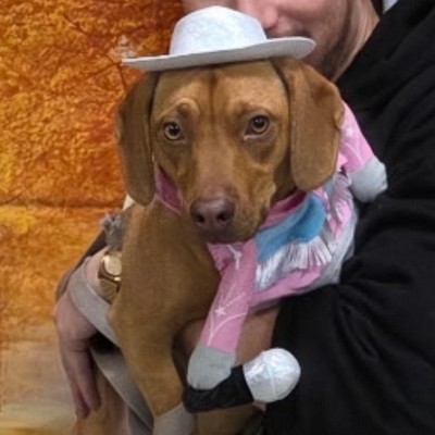 Guest review image 1 of 1, zoom in