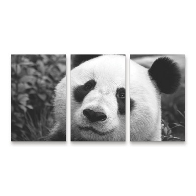 Trademark Fine Art SD Smart Giant Panda 3 Piece Panel Set Art