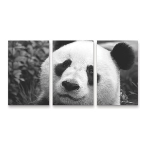 Trademark Fine Art SD Smart Giant Panda 3 Piece Panel Set Art - 1 of 3