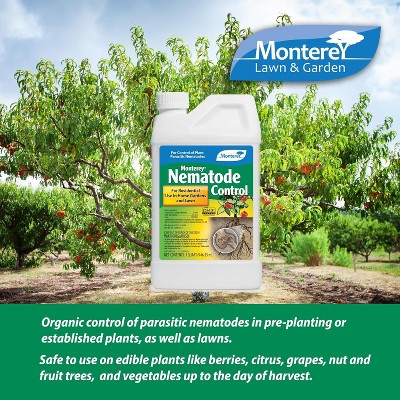 Monterey Nematode Control - Thumbnail 2