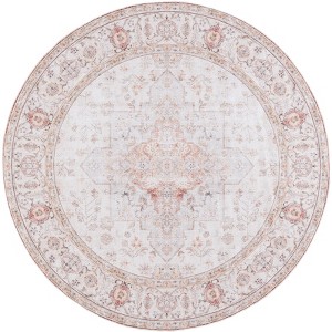 Tucson Vintage Persian TSN105 Power Loomed Machine Washable Skid-Resistant Indoor Rugs - Safavieh - 1 of 4