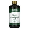 Buried Treasure Liquid Chlorophyll 100 mg Dietary Supplement, Energy Boost Immune Support Detox Intestinal Digestive Support Natural Body Deodorant - 4 of 4